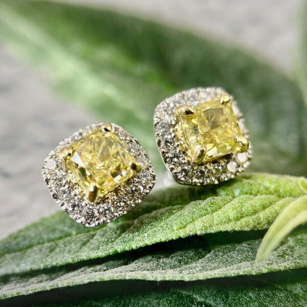 Yellow diamond halo earrings